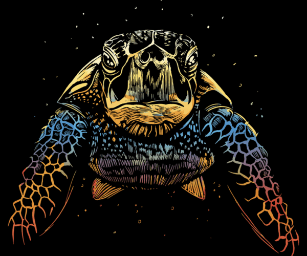 Rainbow Turtle - Ocean Dream