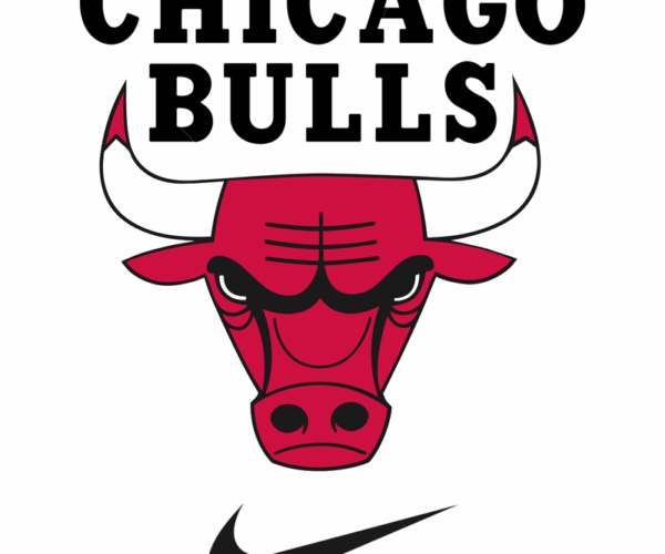Chicago Bulls Nike Logo - Classic Sports Design