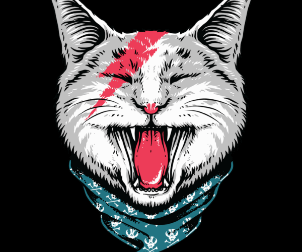 Rock Cat - Ziggy Stardust Tribute