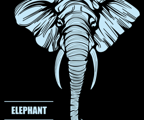 Elephant Portrait - Detailed Lineart