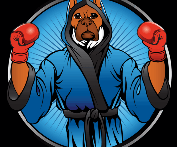 Boxing Boxer - Punch Ready