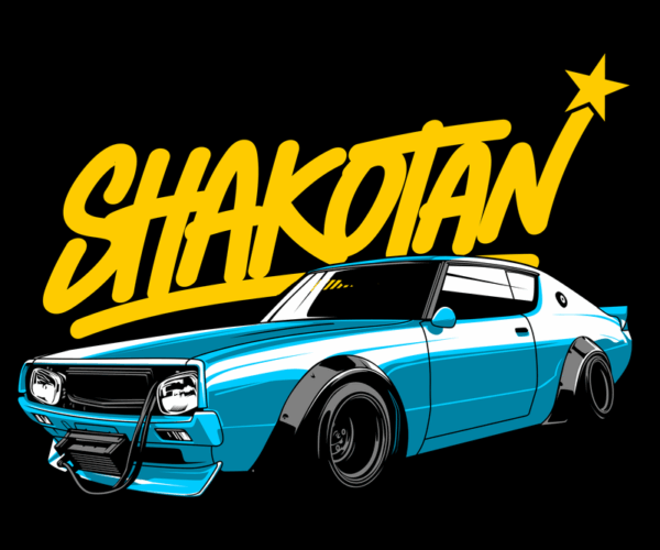 Shakotan Skyline - Drift Star Appeal