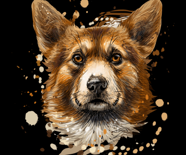 Corgi Portrait - Watercolor Splash Style