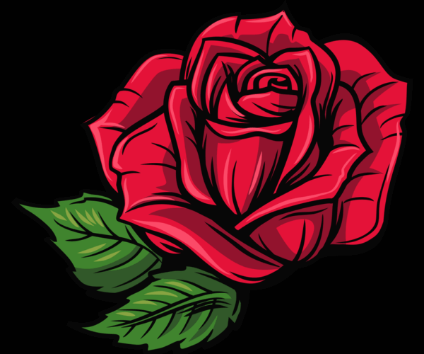 Red Rose - Classic Bloom
