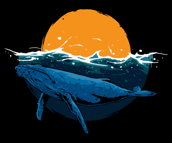 Humpback Whale - Oceanic Sunset