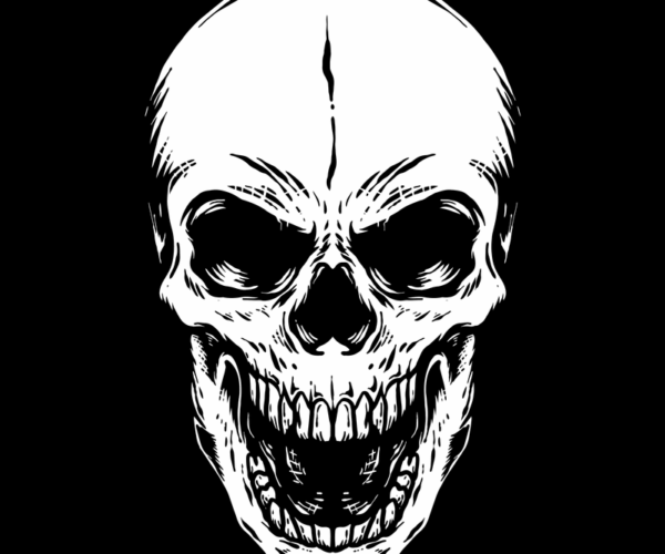 Skull Vector - Intense Stare