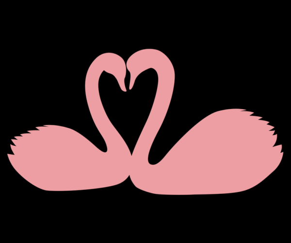 Swan Love - Romantic Silhouette