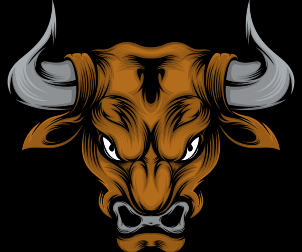 Raging Bull - Bronze Fury