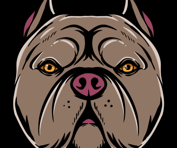 Bully Breed - Intense Stare