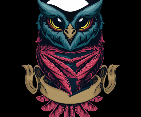 Wise Owl - Feathered Bandito