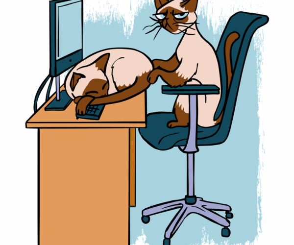 Grumpy Cat & Sleepy Cat - Office Life Edition