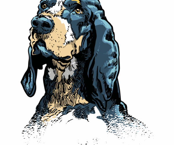Grand Bleu de Gascogne - Majestic Hound