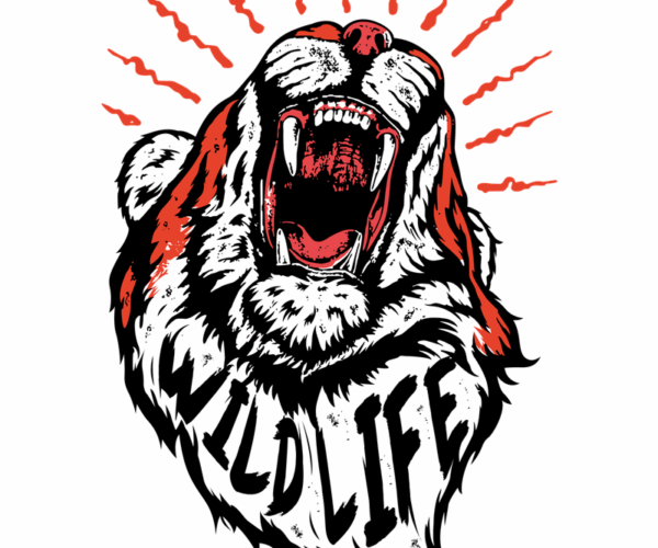 Roaring Tiger - Wildlife Majesty