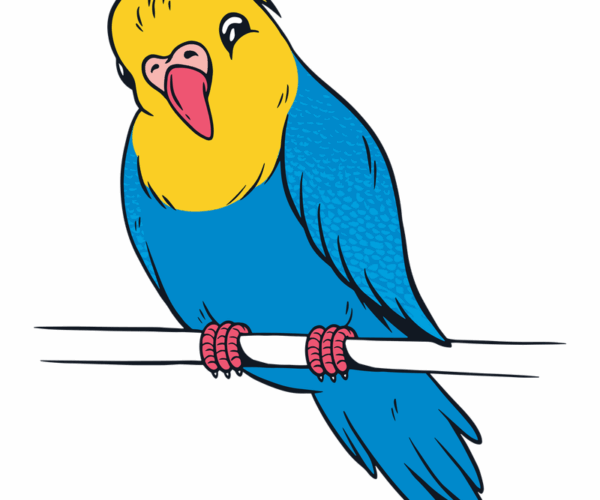 Budgie Bird - Happy Perch
