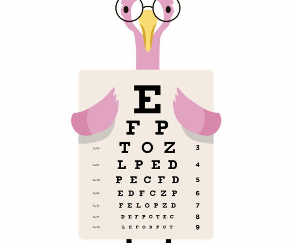 Flamingo Eye Exam - Avian Optometry