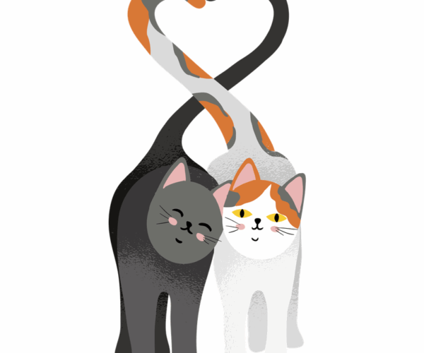 Purrfect Love - Heart Tail Cats