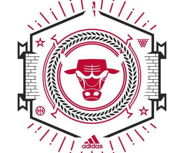 Chicago Bulls - Survival of the Quickest