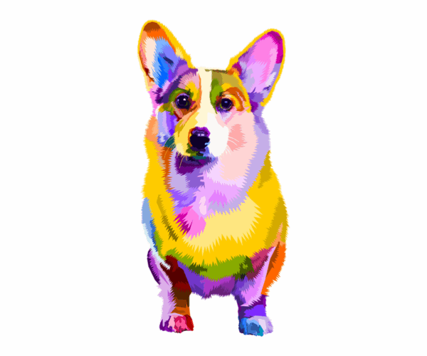 Rainbow Corgi - Dog Lover's Delight