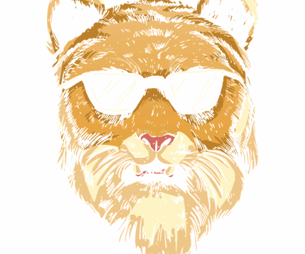 Cool Cat - Shades of Summer
