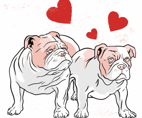 Bulldog Love - Valentine's Day Edition