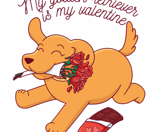 Golden Retriever Valentine's Day