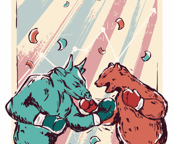 Bull vs. Bear - Financial Fight Club