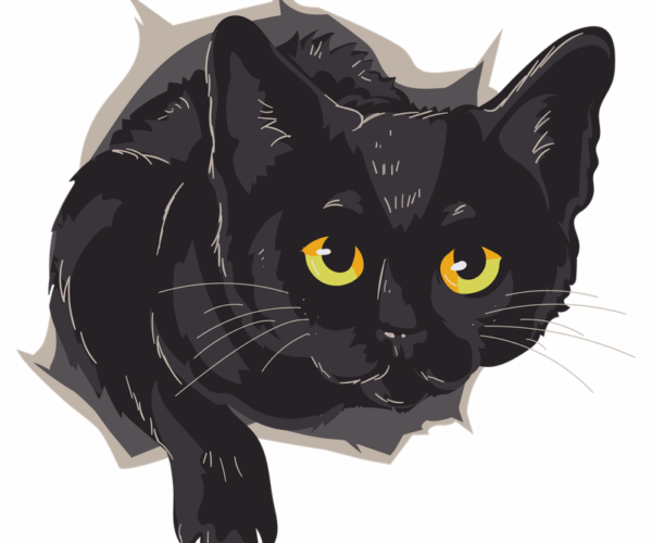 Shadow Cat - Mystical Peek-a-Boo