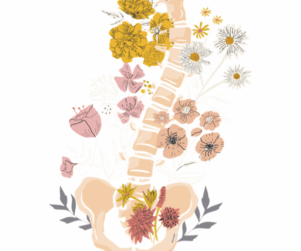 Floral Spine - Botanical Anatomy