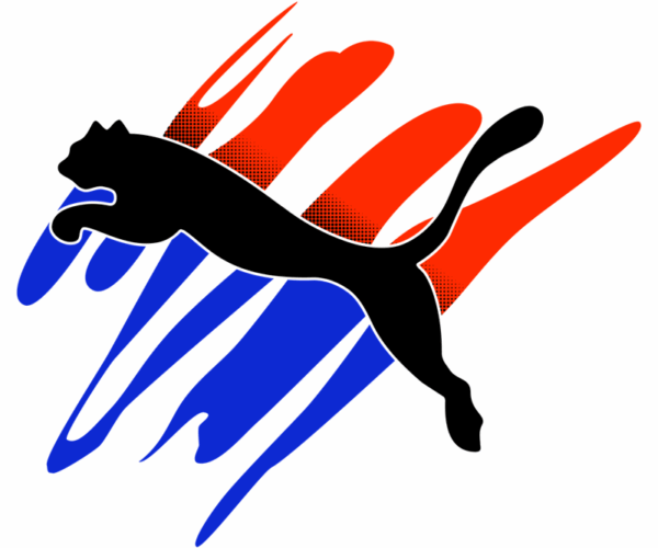 Puma Leap - Dynamic Energy