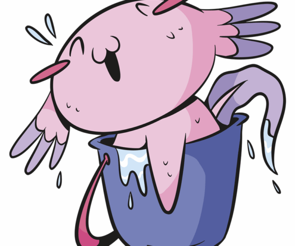 Axolotl in a Bucket - Happy Hydration