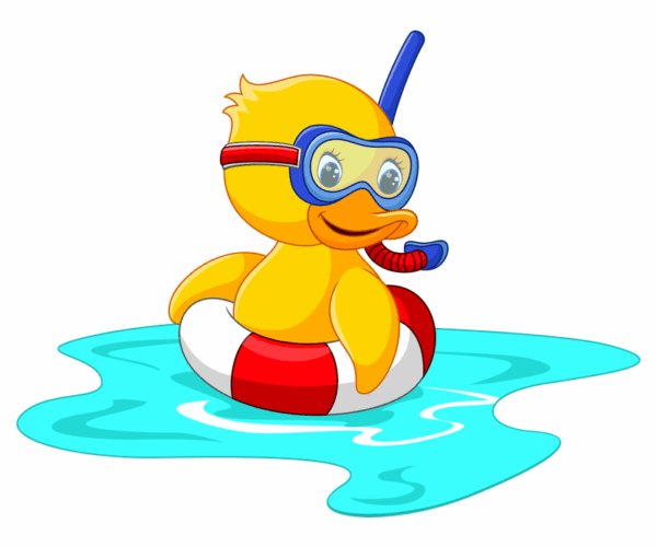 Diving Duck - Summer Fun