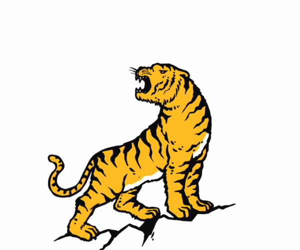 Royal Tiger - Guardian of the Wild