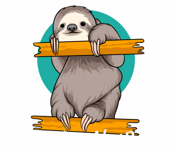 Stuck Sloth - An Unconventional Time Teller