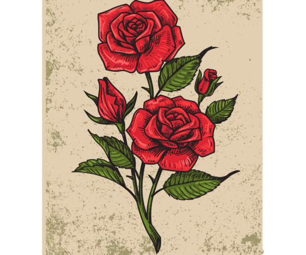 Traditional Roses - Detailed Sketch