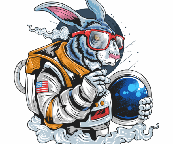 Space Rabbit - Cosmic Explorer