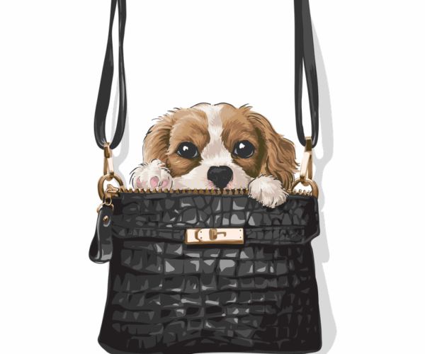 Purse Puppy - Designer Doggy
