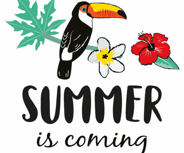 Tropical Toucan - Summer Announcement
