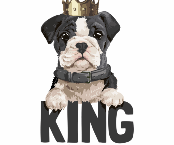 King of Cuteness - Bulldog Puppy