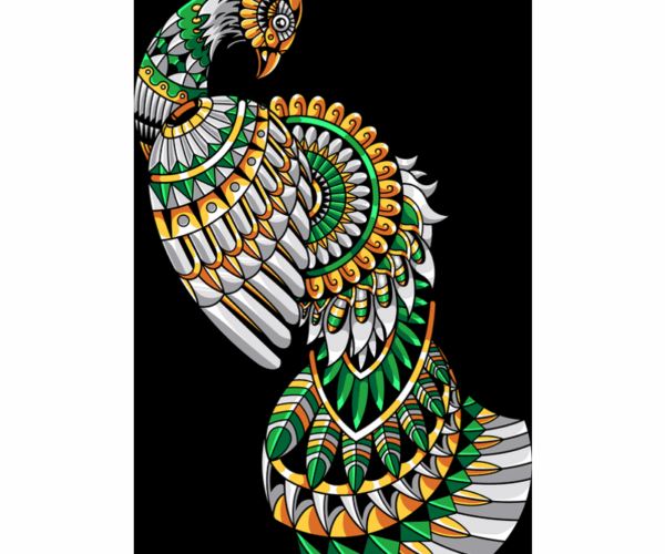 Ornamental Fowl - Exotic Zoned Bird