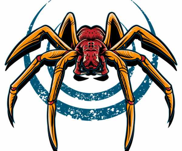 Spider Illustration - Arachnid Grunge