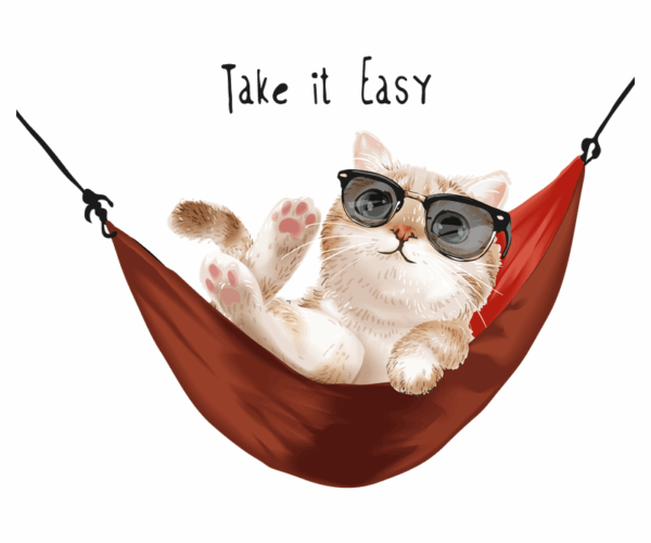 Chill Cat - Hammock Time