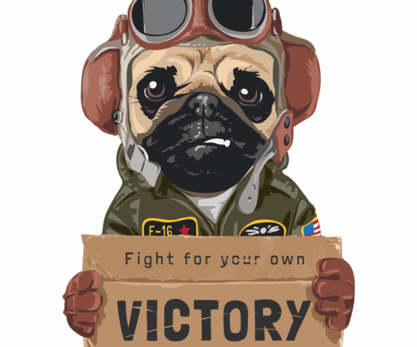 Aviator Pug - Victory Flight Edition