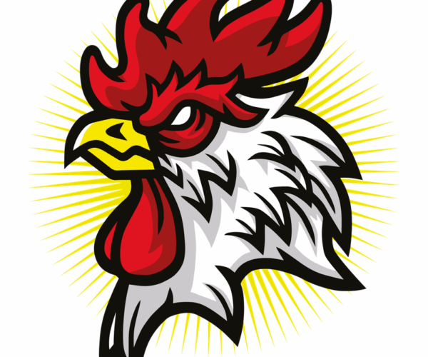 Rooster Head - Angry Mascot Edition