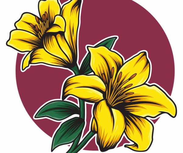 Yellow Lilies - Floral Illustration