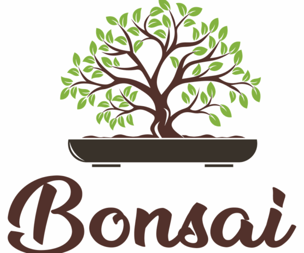 Bonsai Tree - Elegant Minimalism