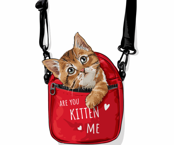 Kitten In A Bag - Cute Illustration