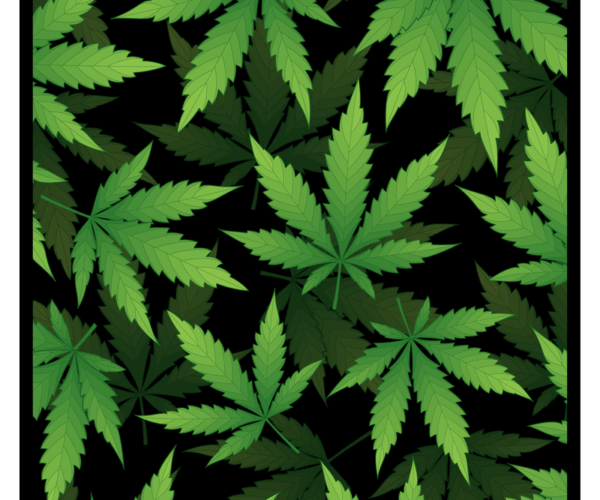 Cannabis Pattern - Pot Leaf Design