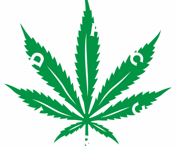 Cannabis Leaf - Don't Panic Organic