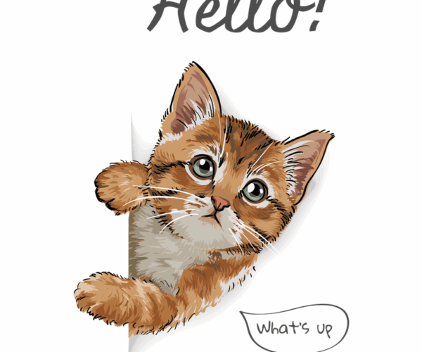 Curious Kitten - Peeking Design