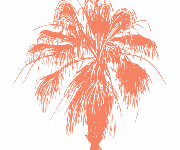 Tropical Palm - Coral Coastline